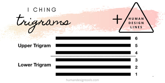 Human Design Profile Lines