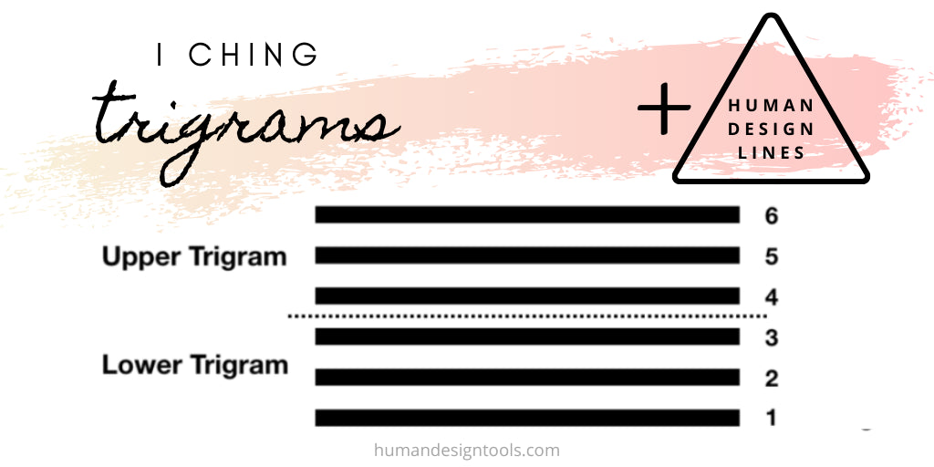 Human Design Profile Lines